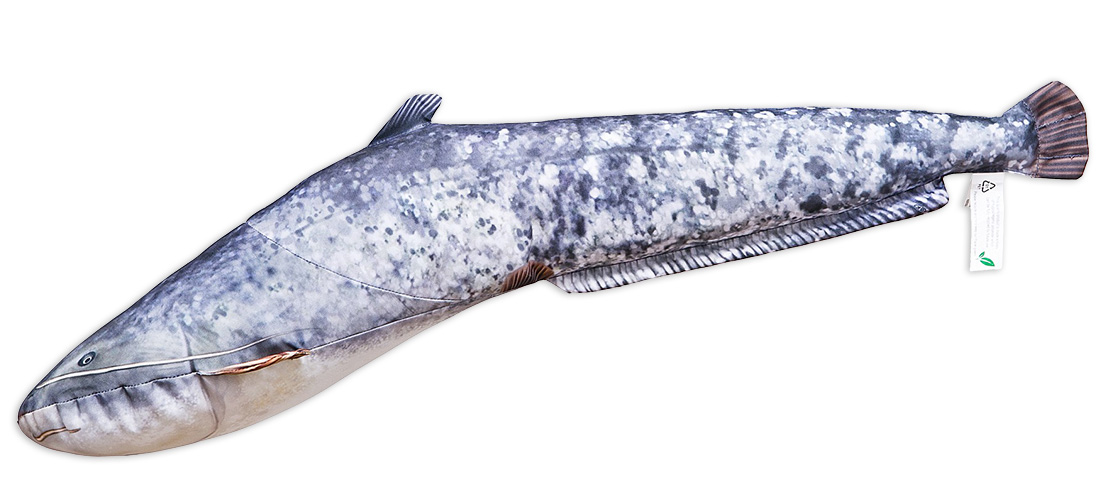 Coussin poisson doudou silure 62cm