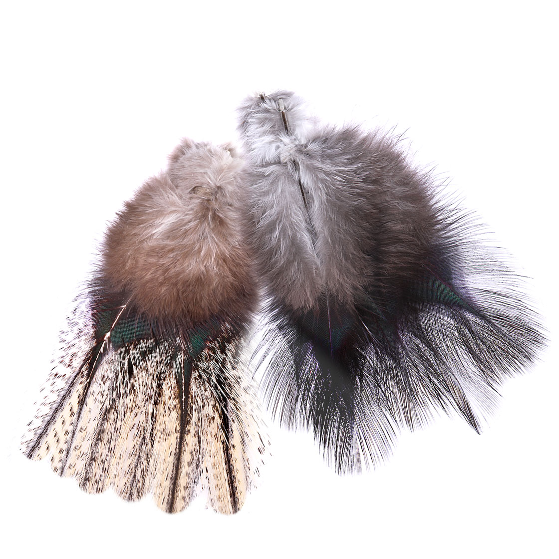 Fasna Coq de Leon #1 12 plumes