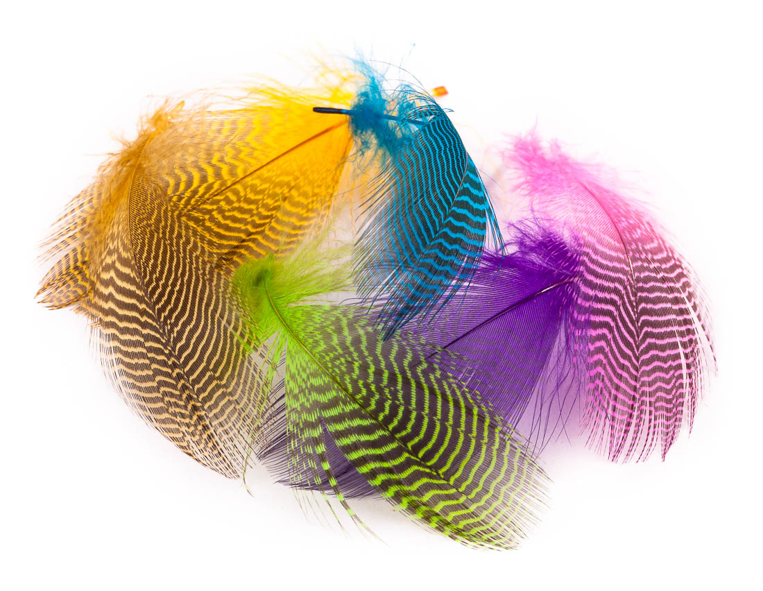 Wapsi Teal Barred Flanc de canard