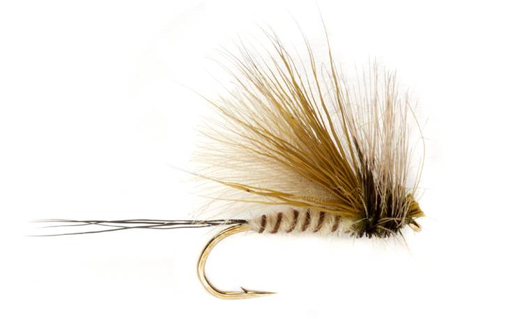 Fulling Mill mouche sèche - Procter's Active Mayfly Dun mouche de mai