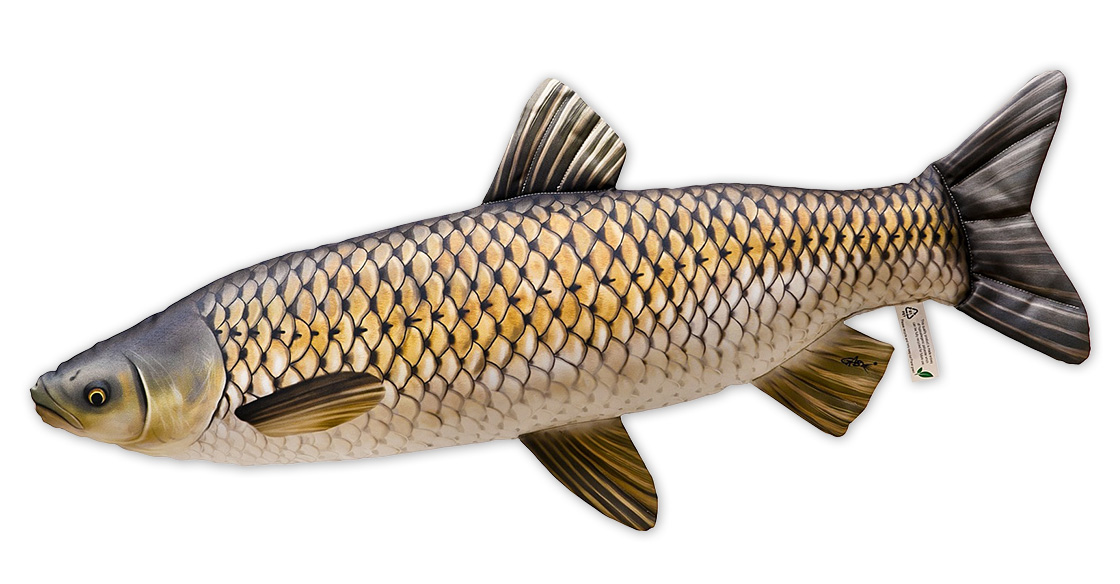 Coussin poisson Doudou carpe d'herbe 105cm