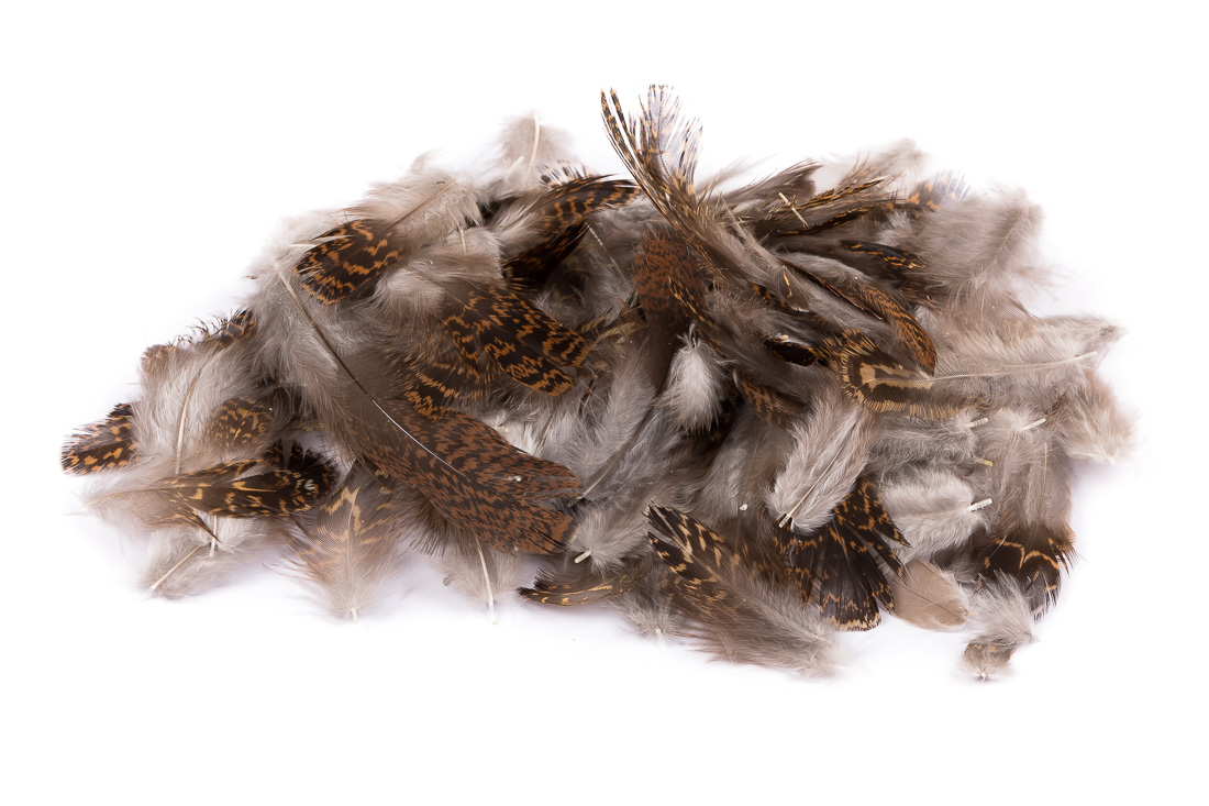 Veniard Grouse Plumage du corps