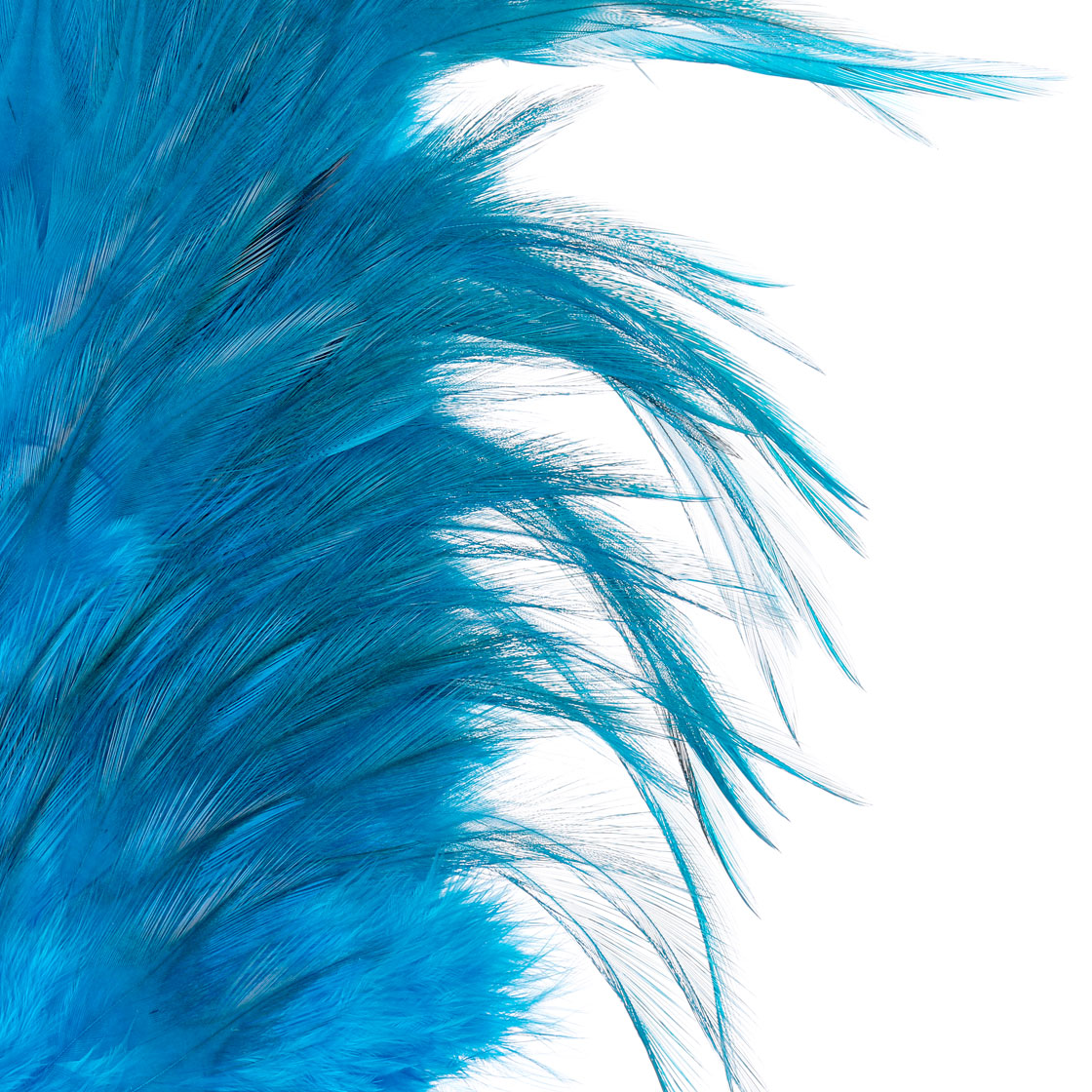 P-25376_Whiting-4-B-s-Rooster-Saddle_detail