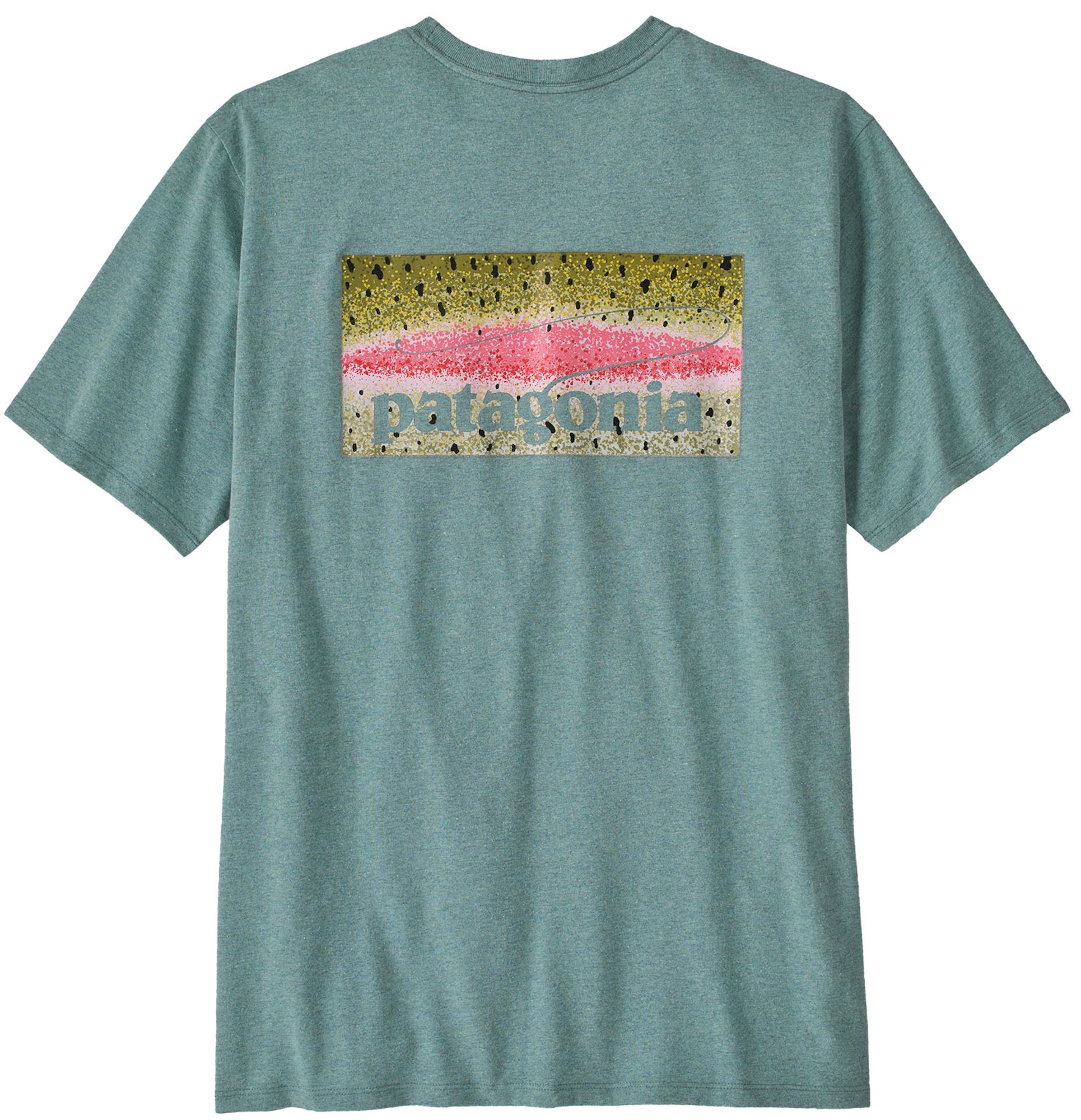 Patagonia Take a Stand Tee Responsibili RBSG