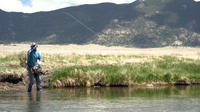 Scientific Anglers Amplitude Smooth Infinity ligne à mouche optic green/mist green/buckskin