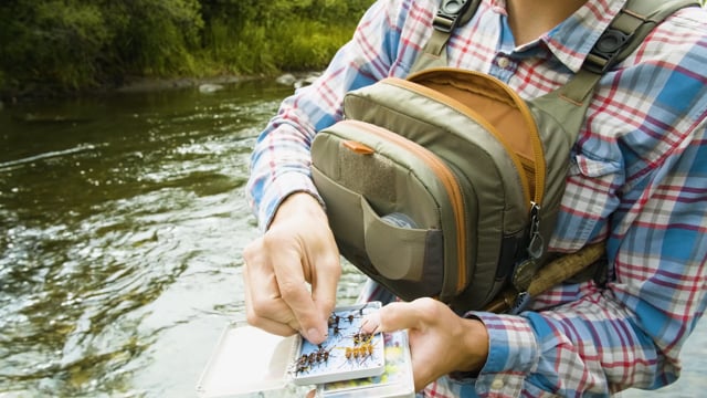 Fishpond Cross-Current Chest Pack Poche poitrine