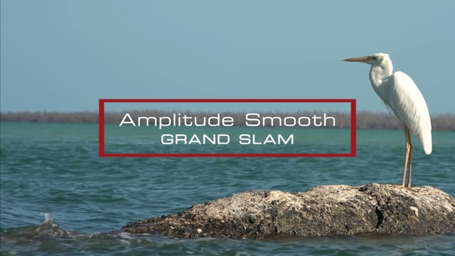 Scientific Anglers Amplitude Smooth Grand Slam ligne à mouche