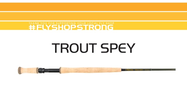 Echo Trout Spey Canne à mouche à deux mains