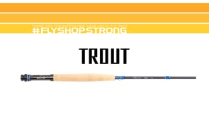Echo Trip Trout Canne à mouche à une main