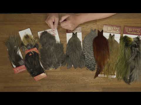 Whiting Coq de Leon Hen Cape
