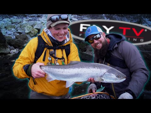 Vision Meri Seatrout ligne à mouche
