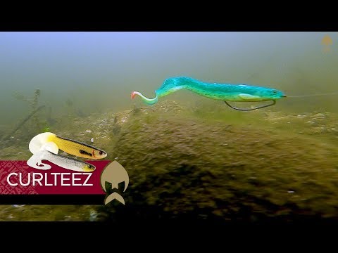 Westin CurlTeez Curltail 8,5 cm 6 g