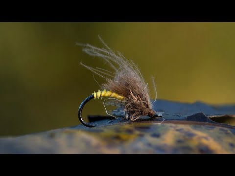 Ahrex FW520 Emerger mouches sèches & hameçons polyvalents