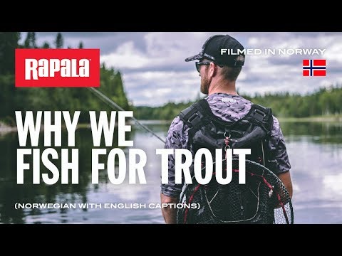 Rapala Original Floater 13 cm