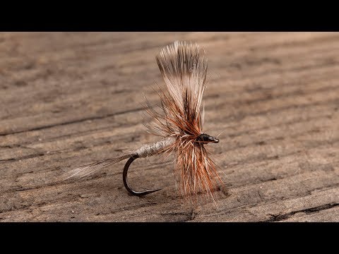 Ahrex FW500 Dry Fly Traditional Hameçon mouche sèche