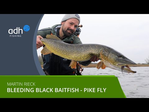 adh-fishing Streamer à brochet - Fibre Baitfish Bleeding Black