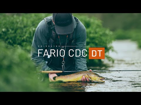 Guideline Fario CDC DT ligne à mouche Guideline Fario CDC DT ligne à mouche