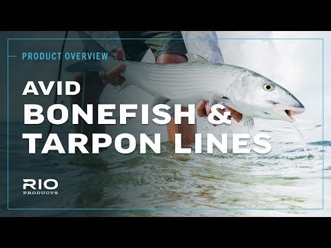 Rio Avid Tarpon Floating ligne à mouche