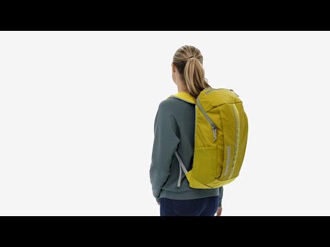 Patagonia Black Hole Pack 25L Sac à dos BSNG - Basin Green
