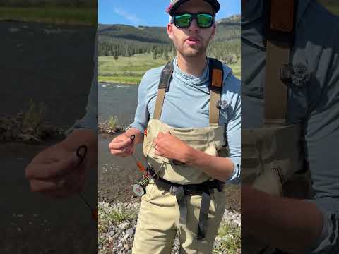 Cling Mag Grab Delta Hook Jaw Porte-mouches magnétique et universel