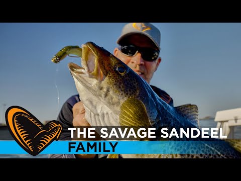 Savage Gear Sandeel Sandaal Appât caoutchouc 13 cm 31 g