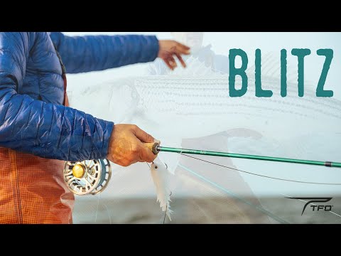TFO Blitz Saltwater Cannes à mouche