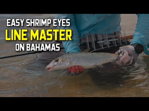 Easy Shrimp Eyes Line Master panier à lignes