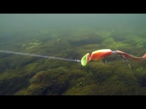 Headbanger Tail Sinking 23 cm