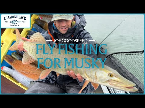 Diamondback Universal Predator Distance Cannes à mouche