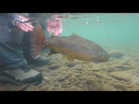 Orvis Ultralight Wading Boot chaussures de wading extra légères avec semelle en caoutchouc cloudburst