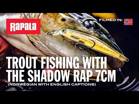Rapala Shadow Rap 11 cm
