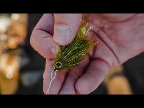 Guideline Streamer - Swim Coach Baby Craven gris