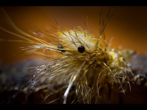 Ahrex NS150 Hameçons courbes pour crevettes