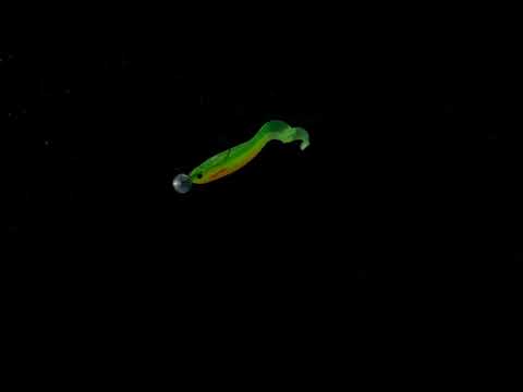 Westin CurlTeez Curltail 8,5 cm 6 g