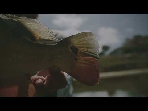 13 Fishing Origin R1 LH Moulinet Baitcast