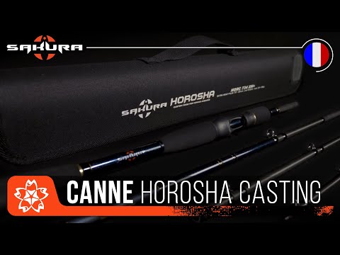 SAKURA HOROSHA Travel Canne à lancer 4 brins Canne de voyage