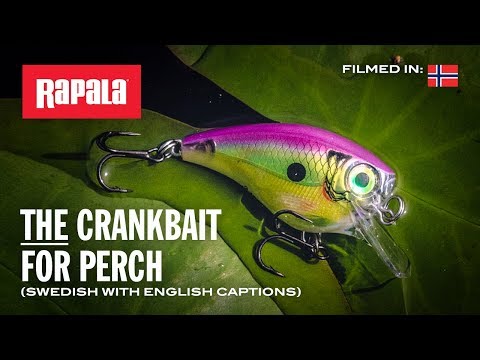 Rapala BX Brat 5 cm