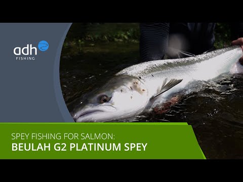 Beulah G2 Platinum Graphène Cannes à mouche Trout Spey